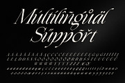 Henkau - Modern Luxury Italic Serif, a Serif Font by Sealoung (Thumbnail 7 of 9)