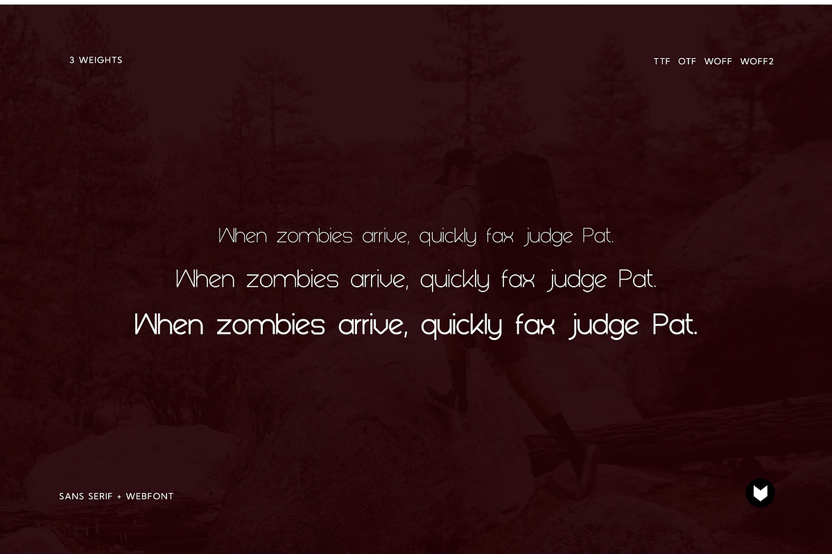 Garold Elegant Typeface, a Font by Foxtype (Photo 7 of 8)