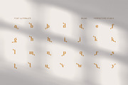 Bilma Elegant Serif Font, a Serif Font by Perfectype (Thumbnail 8 of 8)