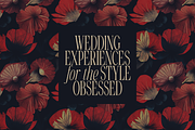 Gorga Type - Elegant Serif Typeface, a Serif Font by VP Fonts (Thumbnail 7 of 18)