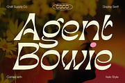 Rapsed - Display Typeface, a Serif Font by Craft Supply Co. (Thumbnail 5 of 8)