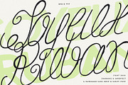 Ruban Soyeux Script & Sans Font Duo, a Handwritten Font by ana & yvy (Thumbnail 23 of 32)