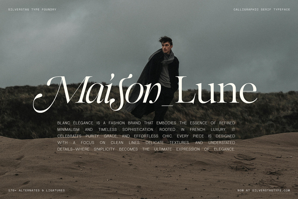 Netsera Calligraphic Serif Typeface, a Serif Font by SilverStag Type Foundry (Photo 13 of 30)