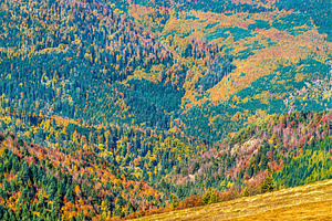 Colorful autumn landscape of the vosges mountains in alsace france containing, a Nature Photo by Leonid Andronov