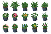 Isometric potted plant and flower, a Person Illustration by Golden Sikorka (Thumbnail 1 of 3)