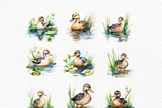 One lucky duck, duck in puddle, an Animal Illustration by Invite to Clipart (Thumbnail 2 of 4)