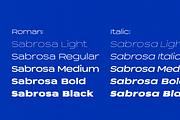 Sabrosa Family, a Sans Serif Font by JAM Type (Thumbnail 10 of 13)