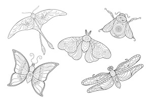 10 Meditative Insect Coloring Pages