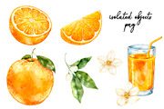 Orange Watercolor Clipart - PNG, a Food Illustration by Eves_Aquadreams (Thumbnail 3 of 11)