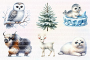 Arctic Animals, Clipart, an Illustration by CreationArt (Thumbnail 3 of 5)