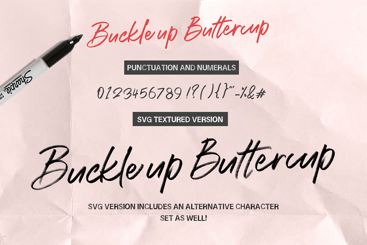 Buckle up Buttercup Font Collection, a Script Font by ReveryWorks