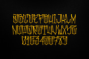 VidaLoca, a Script Font by angrydubs (Thumbnail 2 of 2)
