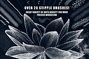 Subtle Turtle Procreate Brushes, a Brush Add-On by OlgaRom (Thumbnail 2 of 6)