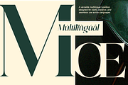 Qorvella - Modern Elegant Luxury, a Serif Font by Qweera Studio (Thumbnail 10 of 12)