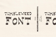 Tumbleweed Hand Drawn Western Font, a Handwritten Font by Madeline ODonoghue Design (Thumbnail 1 of 6)