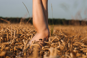 Bare Feet and Legs Raised in Wheat Field Under Blue Sky, a Person Photo by Red Hot Chili Pepper Shop