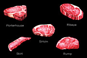 Raw Meat 12 Steak Cuts – Watercolor, an Illustration by Northink (Thumbnail 2 of 4)
