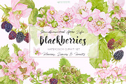 Purple Poppies&Blackberries-Clipart, an Illustration by watercolorwild.graphics (Thumbnail 5 of 10)