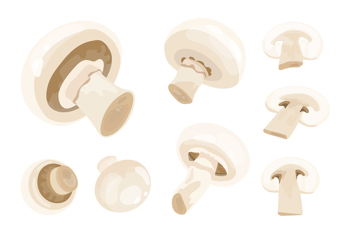 Champignon mushroom set, a Food Illustration by Good Studio (Photo 2 of 3)