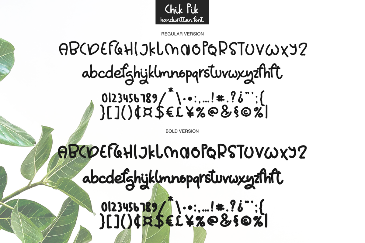 Chik Pik, a Script Font by Larin Type Co. (Photo 6 of 6)