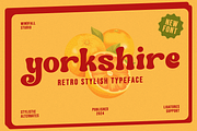 Yorkshire - Retro Rounded Typeface, a Serif Font by Windfall Co (Thumbnail 1 of 10)