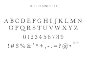 Sourwood: woodcut font family, a Font by Rachel Ortiz (Thumbnail 9 of 11)