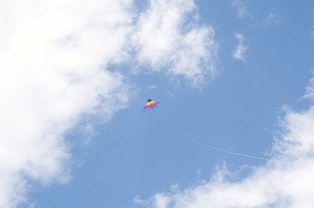 Flying Kite in the Sky