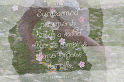 SILK & FLEUR Paper Overlay Gemstone, a Texture Graphic by ana & yvy (Thumbnail 12 of 16)
