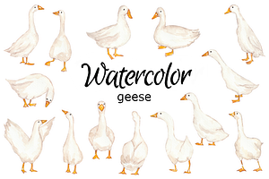 Geese watercolor clip art