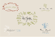 Botanical Vector Collection, an Illustration by Julia Bausenhardt (Thumbnail 2 of 5)