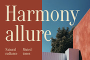 CS Alistair – Classic Font, a Serif Font by Craft Supply Co. (Thumbnail 5 of 8)