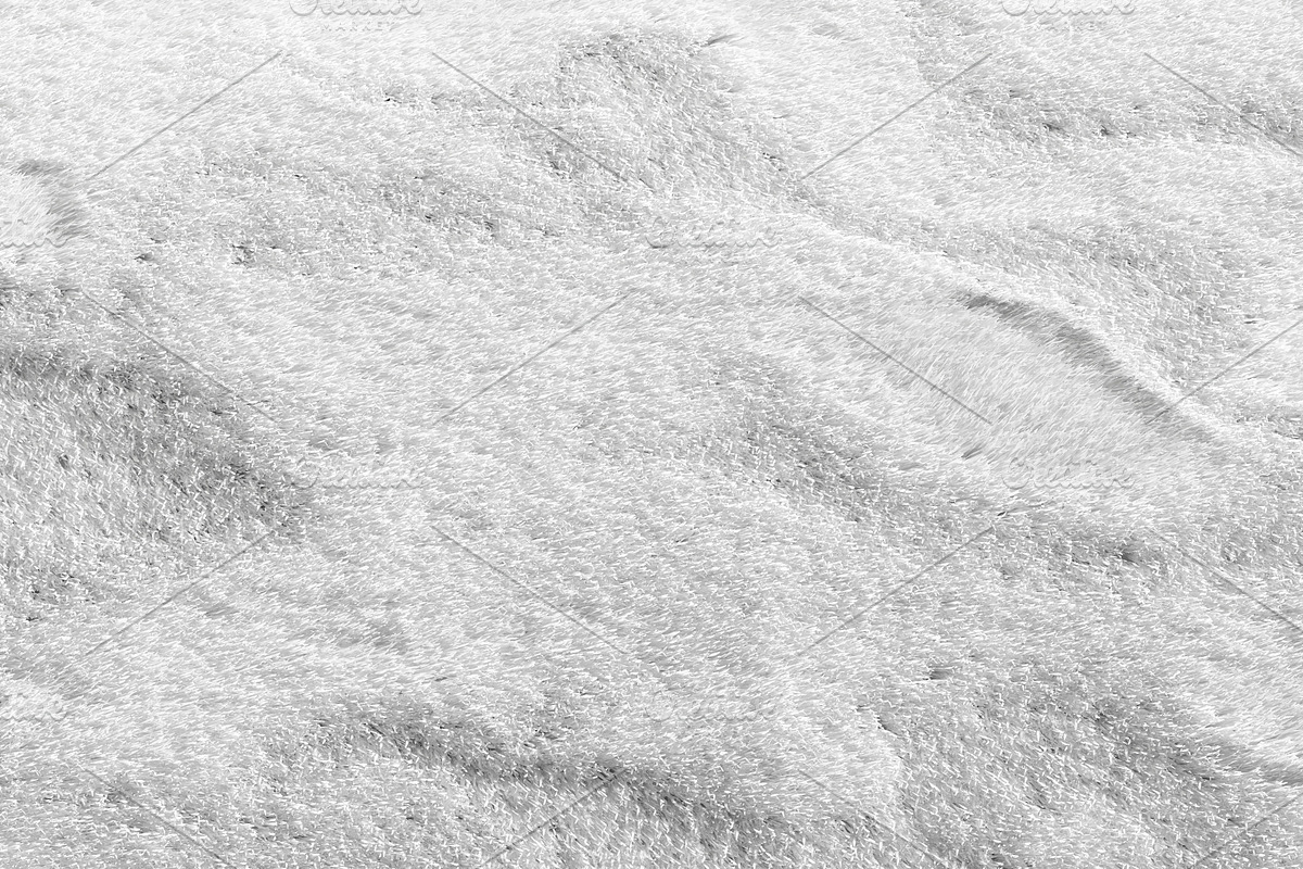 nuLoom Shaggy Area Rug (4 colors), a Furniture 3D Model by 3dmitruk (Photo 4 of 18)