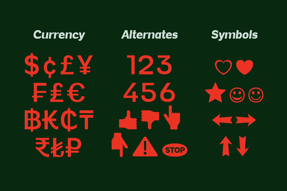 Vynce Sans Picturesque Family, a Sans Serif Font by Lettertype Studio (Photo 12 of 15)