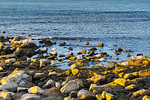Rocks at border of atlantic ocean, punta del este, uruguay, a Nature Photo by DanFLCreativo