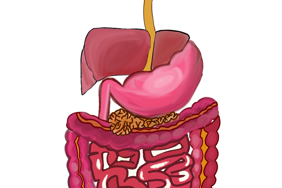Biology & Anatomy goodnotes stickers, an Education Illustration by Noorist (Photo 9 of 32)