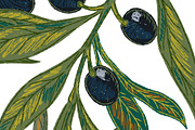 Mediterranean olive branch set, a Pattern Graphic by NayaChu (Thumbnail 7 of 11)