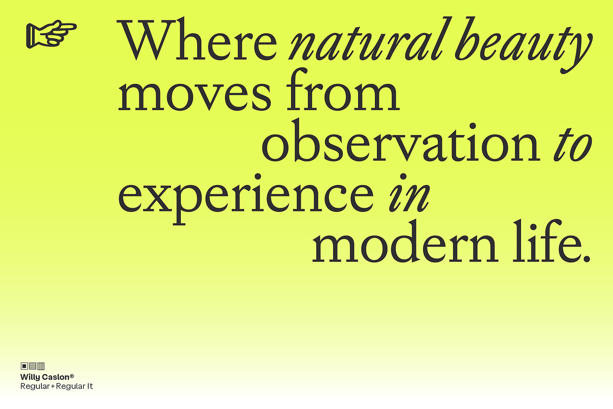 Willy Caslon, a Serif Font by Latinotype (Photo 4 of 13)