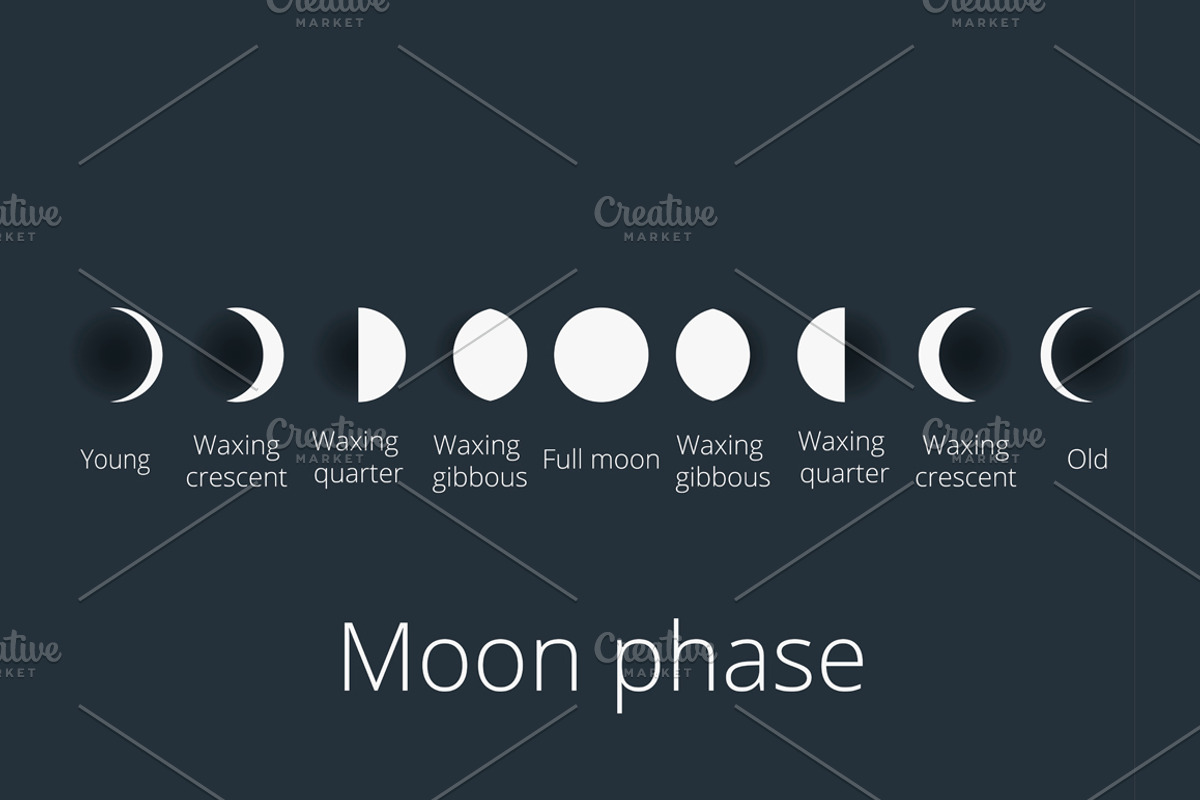 Moon phases. Set illustrations, an Illustration by Andy Vinnikov (Photo 3 of 8)