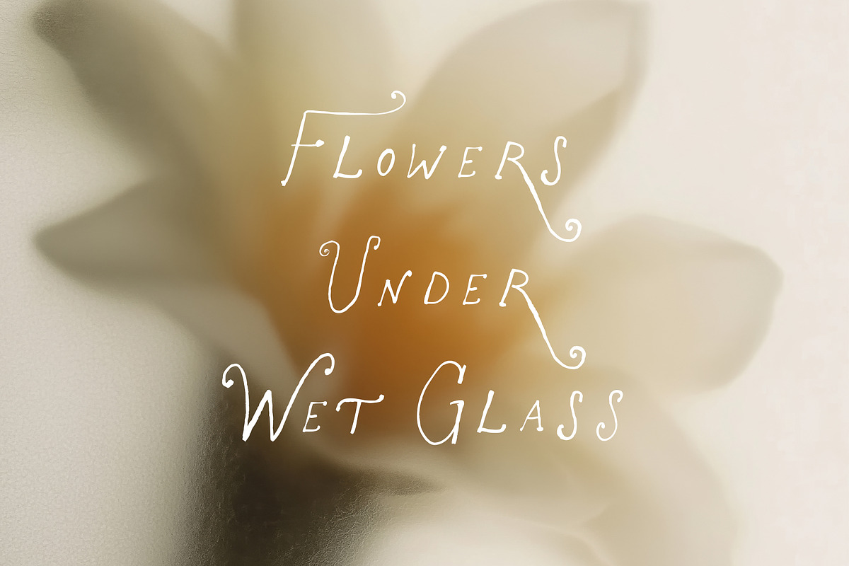 Flowers Under Wet Glass Backgrounds, a Background Graphic by Lana Elanor (Photo 3 of 18)