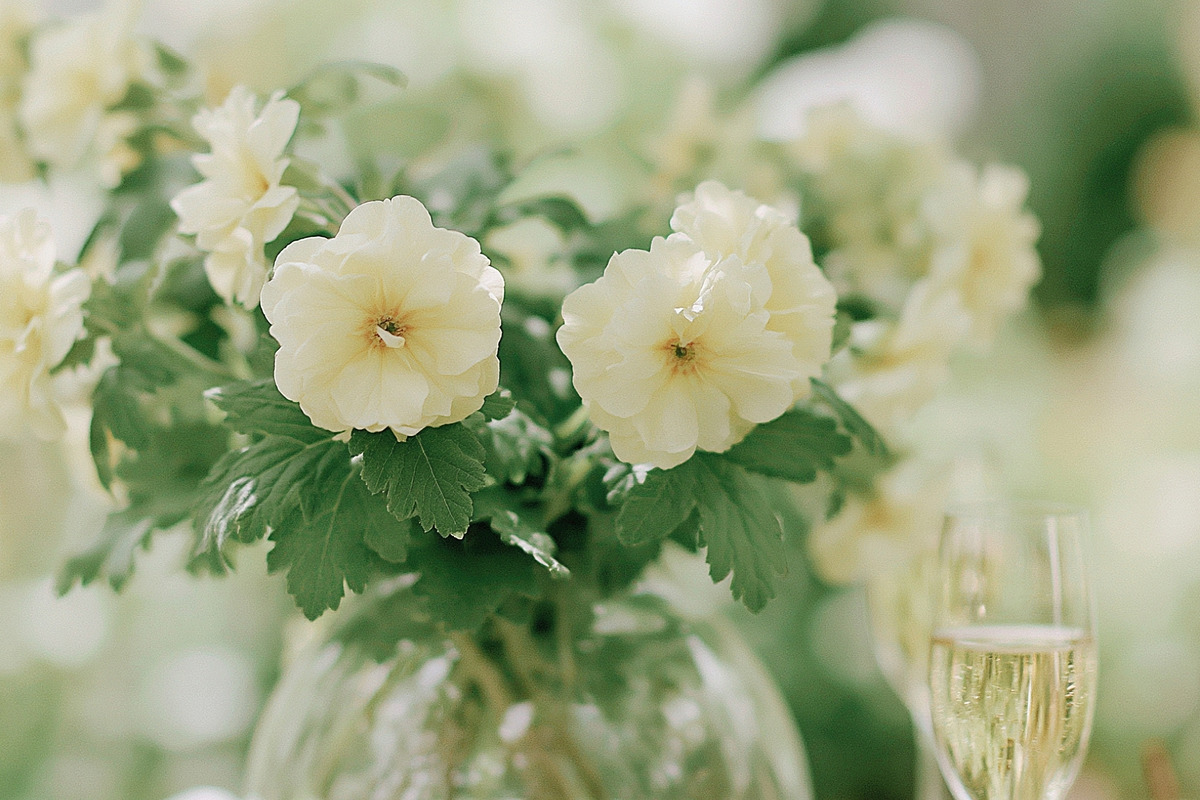 230 Sage Green Stock Images Bundle, a Beauty & Fashion Photo by Allure Art (Photo 31 of 33)