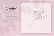 Orchid #17. Line Art Illustration, a Decorative Illustration by lapi-olesya (Thumbnail 1 of 3)