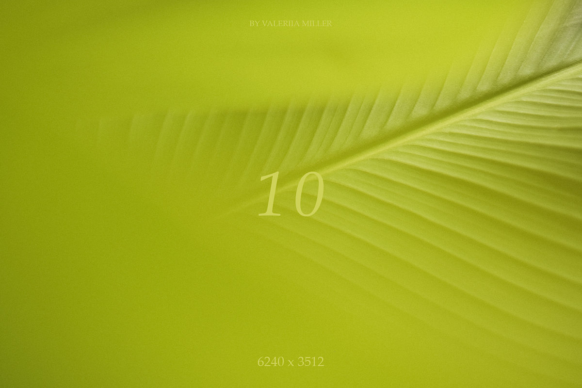10 NATURAL BACKGROUNDS, a Background Photo by Valeriia Miller (Photo 11 of 11)