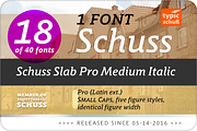 SchussSlabProMedIta No.18 (1 Font), a Slab Serif Font by typic schuss (Thumbnail 2 of 6)
