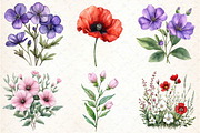 Wild Flowers Watercolor Clipart PNG, an Illustration by DreamCafeArt (Thumbnail 4 of 7)