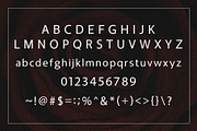 Fougie Modern Sans-Serif, a Sans Serif Font by Font Kingdom (Thumbnail 4 of 5)
