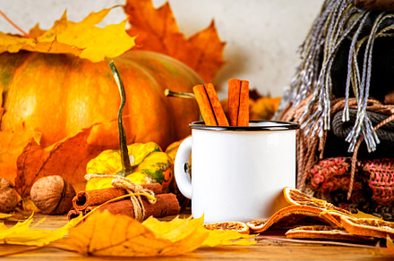 Autumn drink in white cup on fall background with pumpkins, oran, a Food & Drink Photo by 5PH