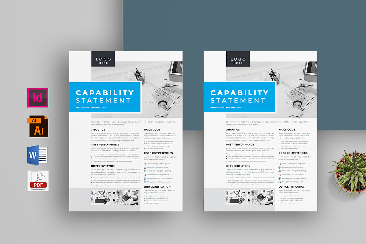 Capability Statement Bundle, a Flyer Template by obayes (Photo 9 of 13)