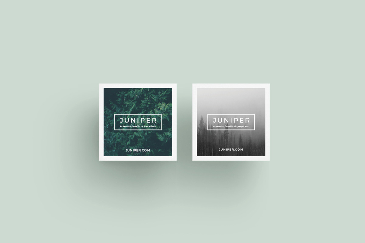 J U N I P E R  Letterhead + Comps, a Stationery Template by 46&2 Collective (Photo 4 of 5)