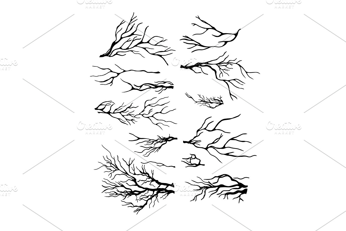 A set of tree branches . hand, an Object Illustration by Nenahliadava Design