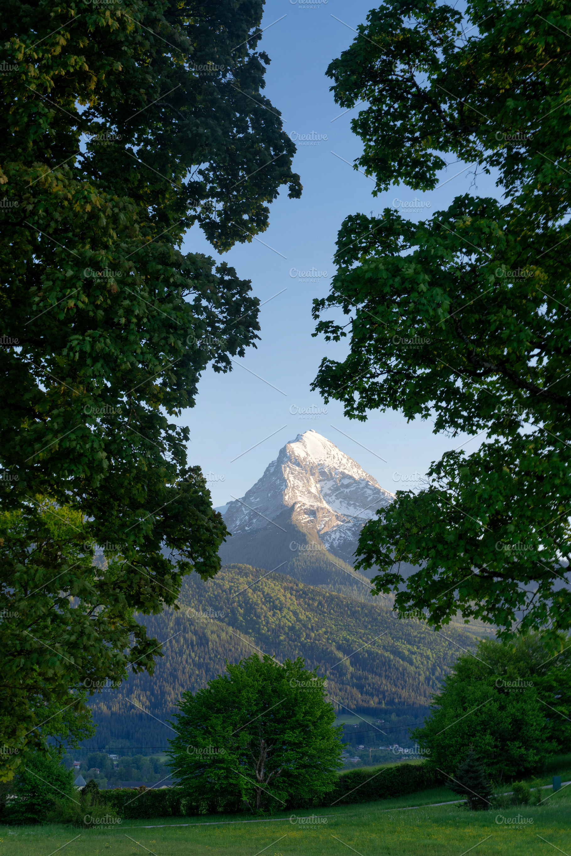 The Watzmann peak seen through trees, a Nature Photo by John Stuij Photography